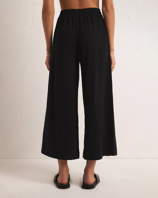 Black $|& Z Supply Scout Textured Slub Pant - VOF Back
