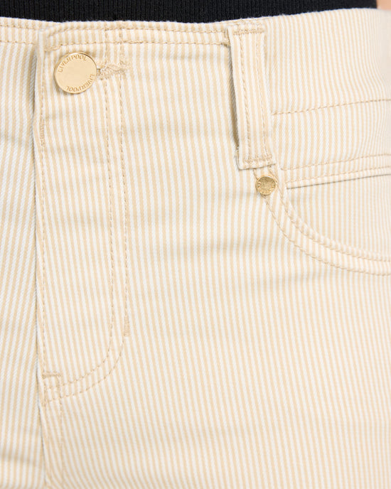 Cappuccino Stripe $|& Liverpool Gia Glider Crop Flare Leg Jean With Back Pleat - SOF Full Front