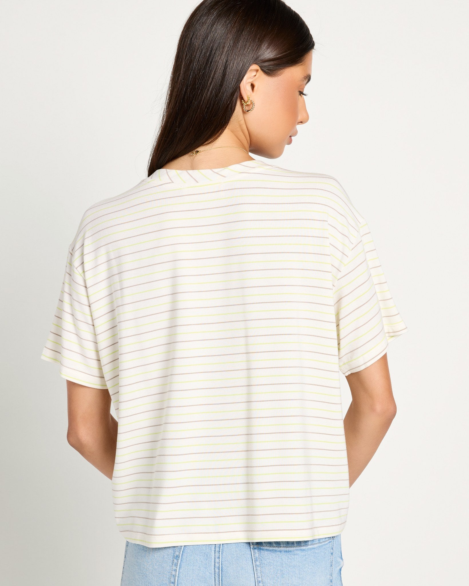 Lime Birch Stripe $|& SEAS Newport Striped Cropped Tee - SOF Back