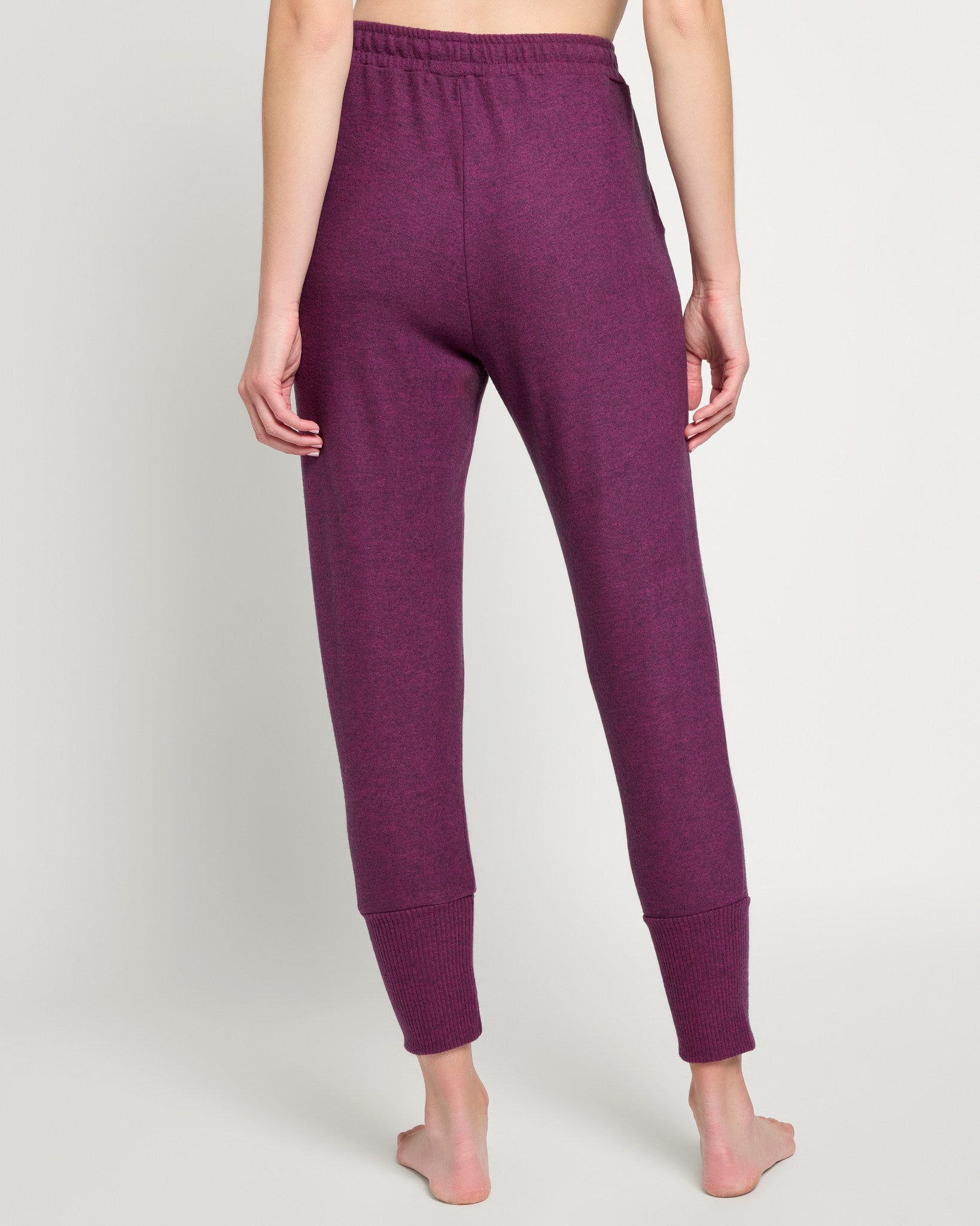 Burgundy $|& Astrologie Harper Jogger - SOF Back