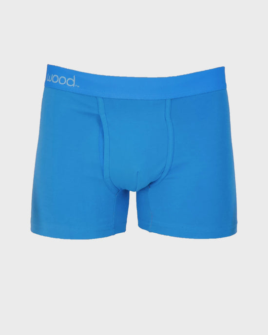 Swedishblue $|& Wood Underwear 3" Boxer Brief With Fly - Hanger Back
