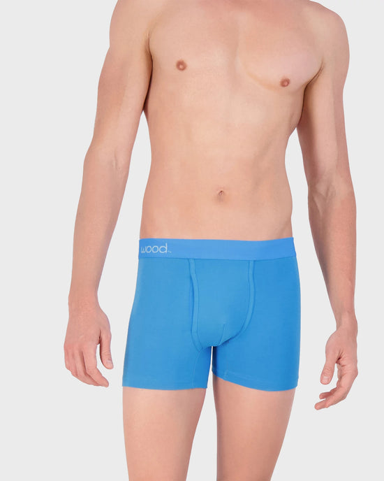 Swedishblue $|& Wood Underwear 3" Boxer Brief With Fly - VOF Detail