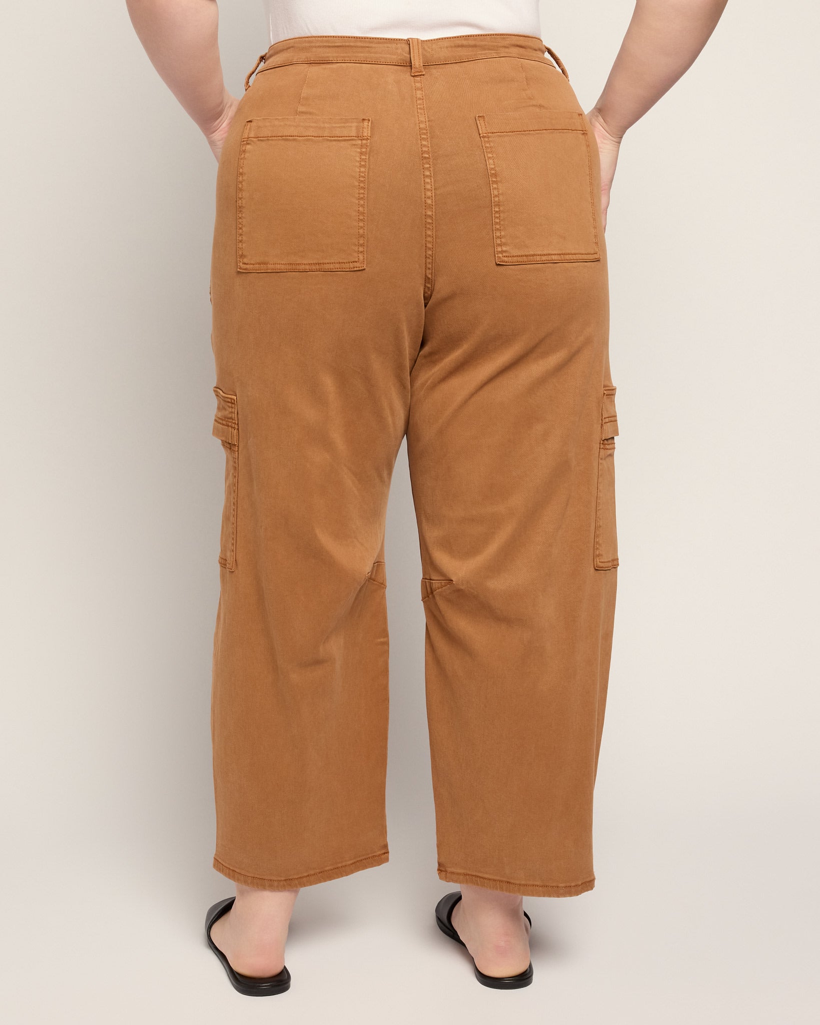 Camel $|& SEAS Elevation Twill Pant - SOF Back