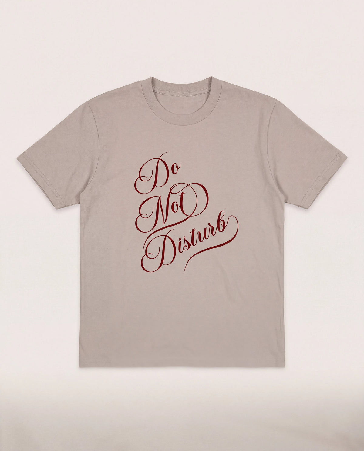 Birch $|& SEAS Dreamer Graphic Tee - Hanger Detail