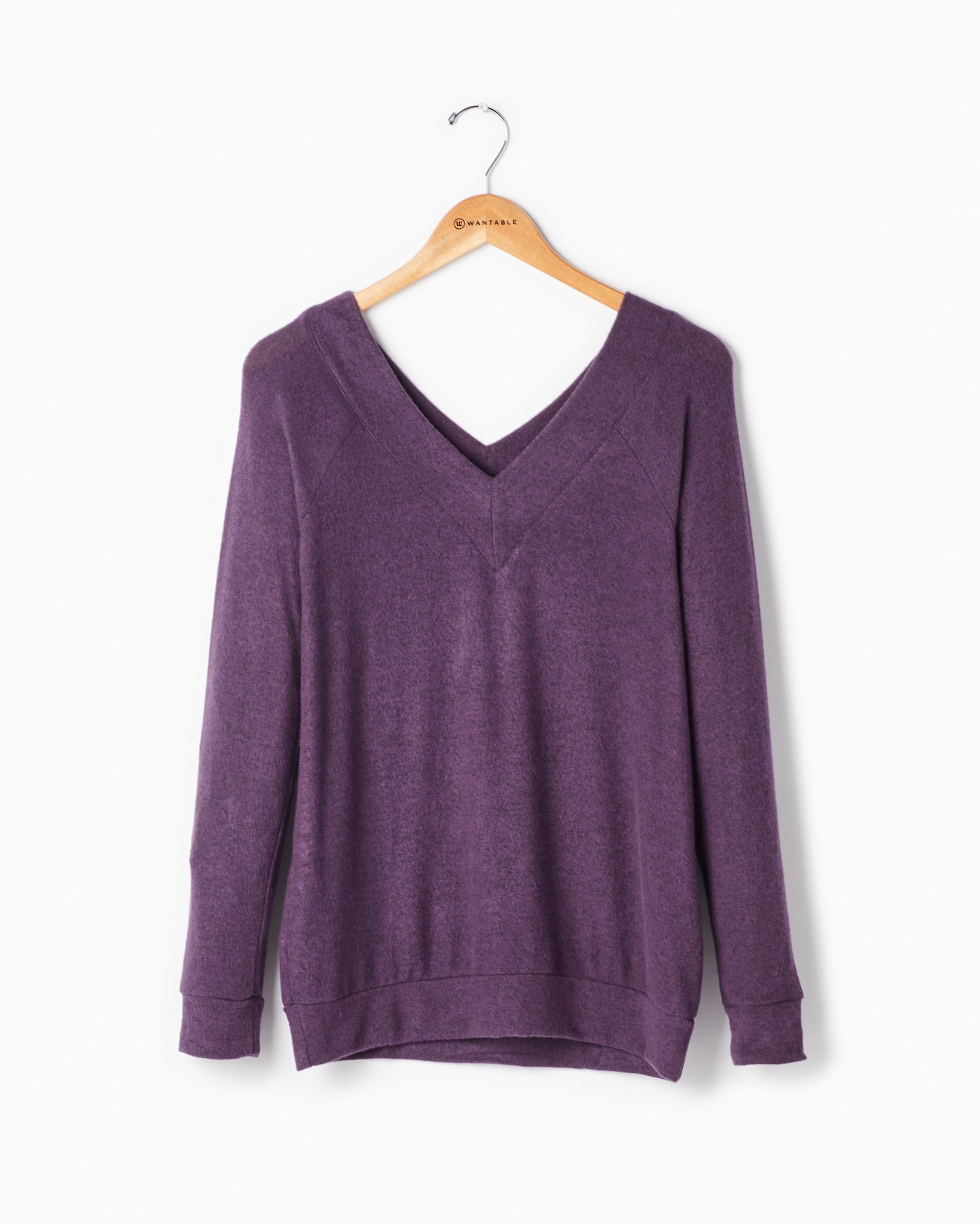 Eggplant $|& W. by Wantable Brsh Hacci Raglan V-Neck Tunic - Hanger Front