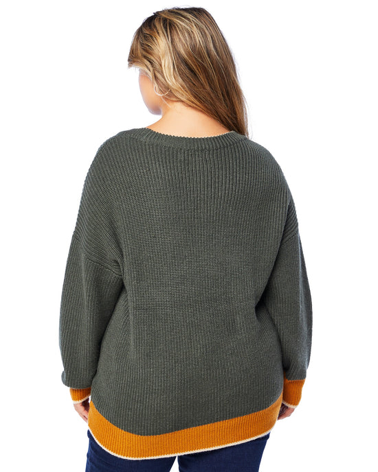 Olive/Mustard $|& Skies Are Blue Colorblock Sweater - SOF Back