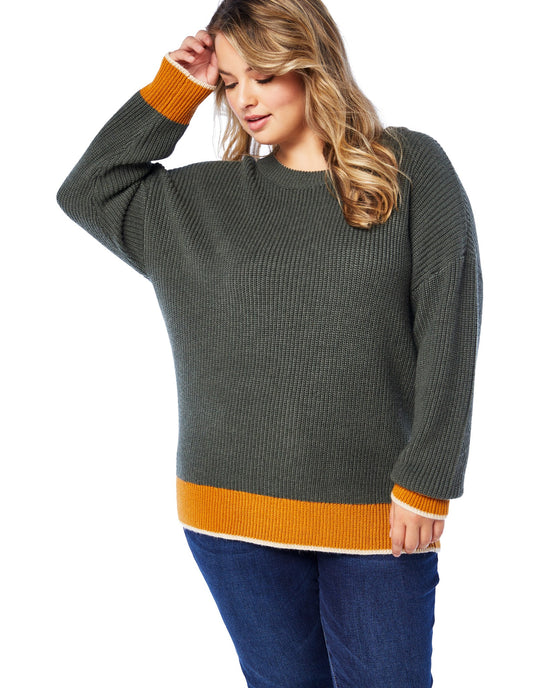 Olive/Mustard $|& Skies Are Blue Colorblock Sweater - SOF Front