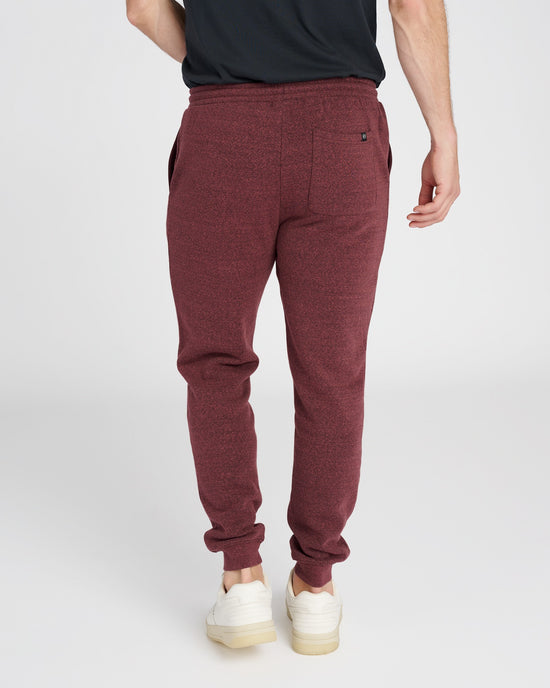Maroon Rust Red $|& Threads 4 Thought Triblend Fleece Jogger - SOF Back