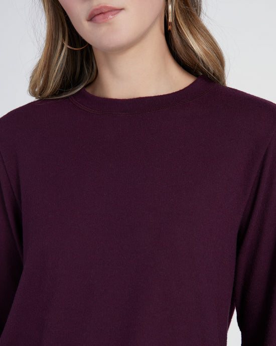 Rasin Purple $|& Loveappella Brushed Crew Neck  Pullover - SOF Detail