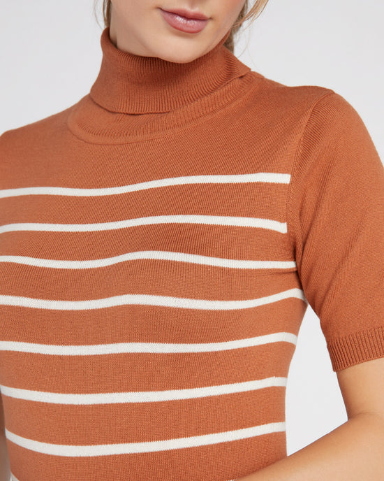 Cinnamon $|& Vigoss Light Weight Stripe Turtleneck Pullover - SOF Detail
