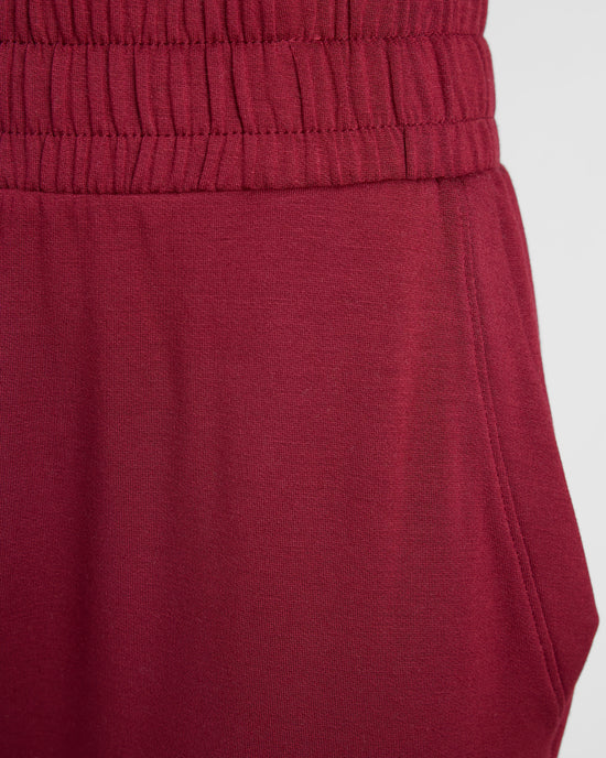 Cabernet $|& Interval Flex Jogger - SOF Detail