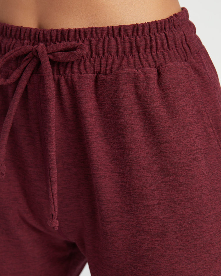 Red Wine $|& Interval Highland Spacedye Jogger - SOF Detail