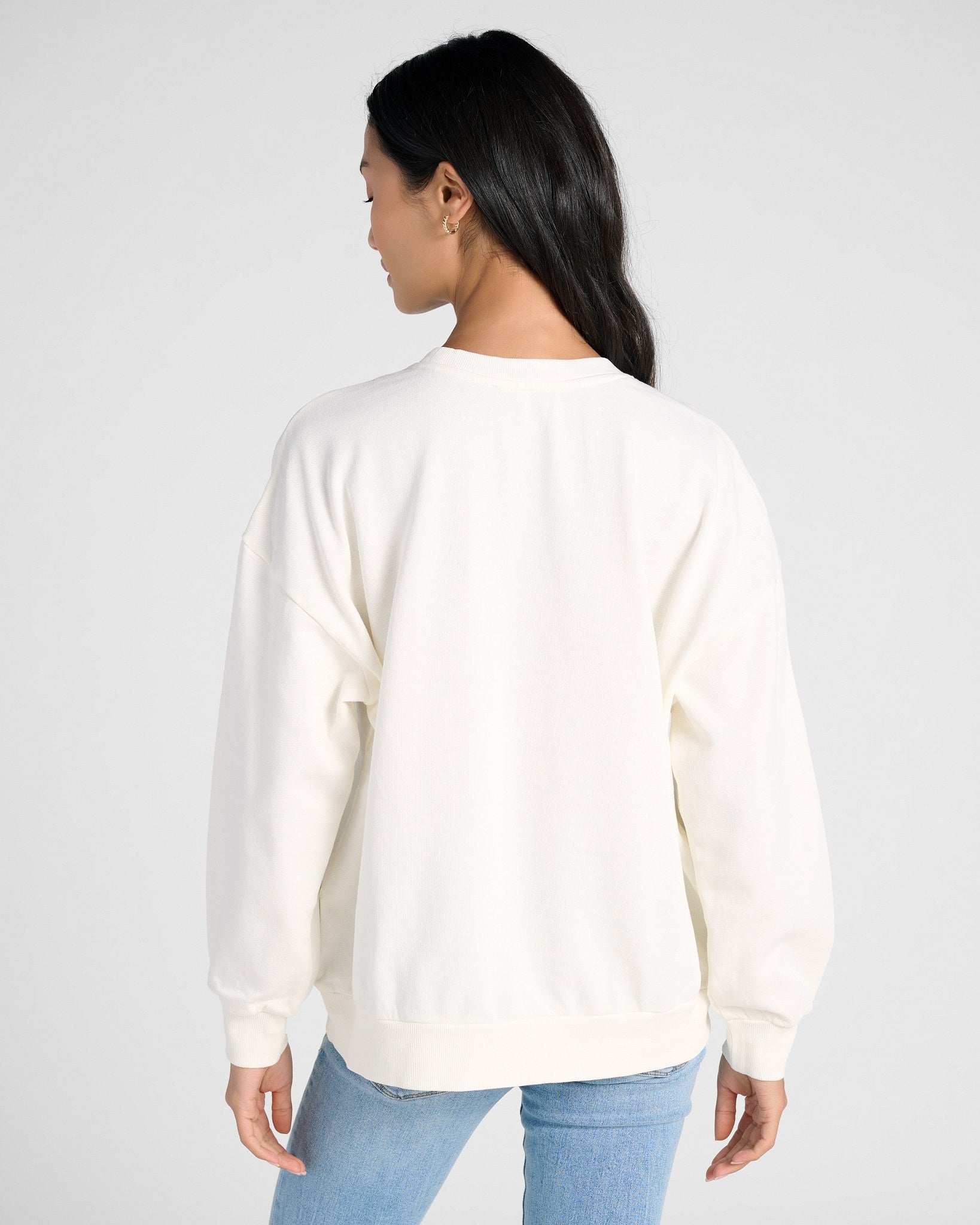 Sea Salt $|& Z Supply Under the Palms Sweatshirt - SOF Back