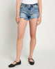 High Rise Distressed Shorts