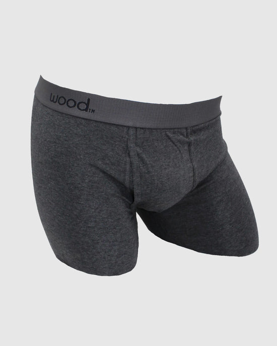 Graphite $|& Wood Underwear 6" Biker Brief With Fly - VOF Detail