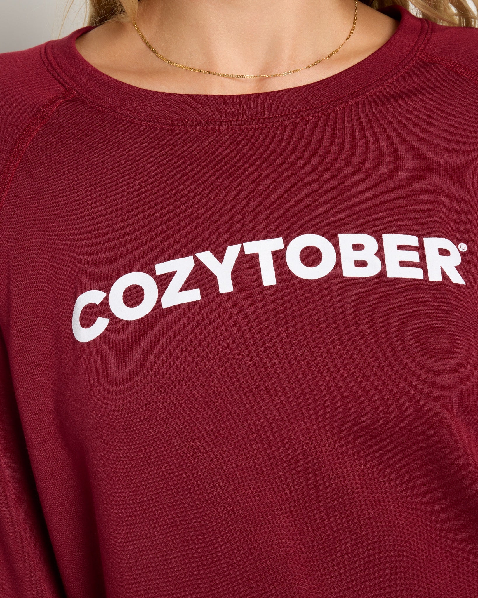 Cabernet $|& SEAS Cozytober Graphic Pullover - SOF Full Front