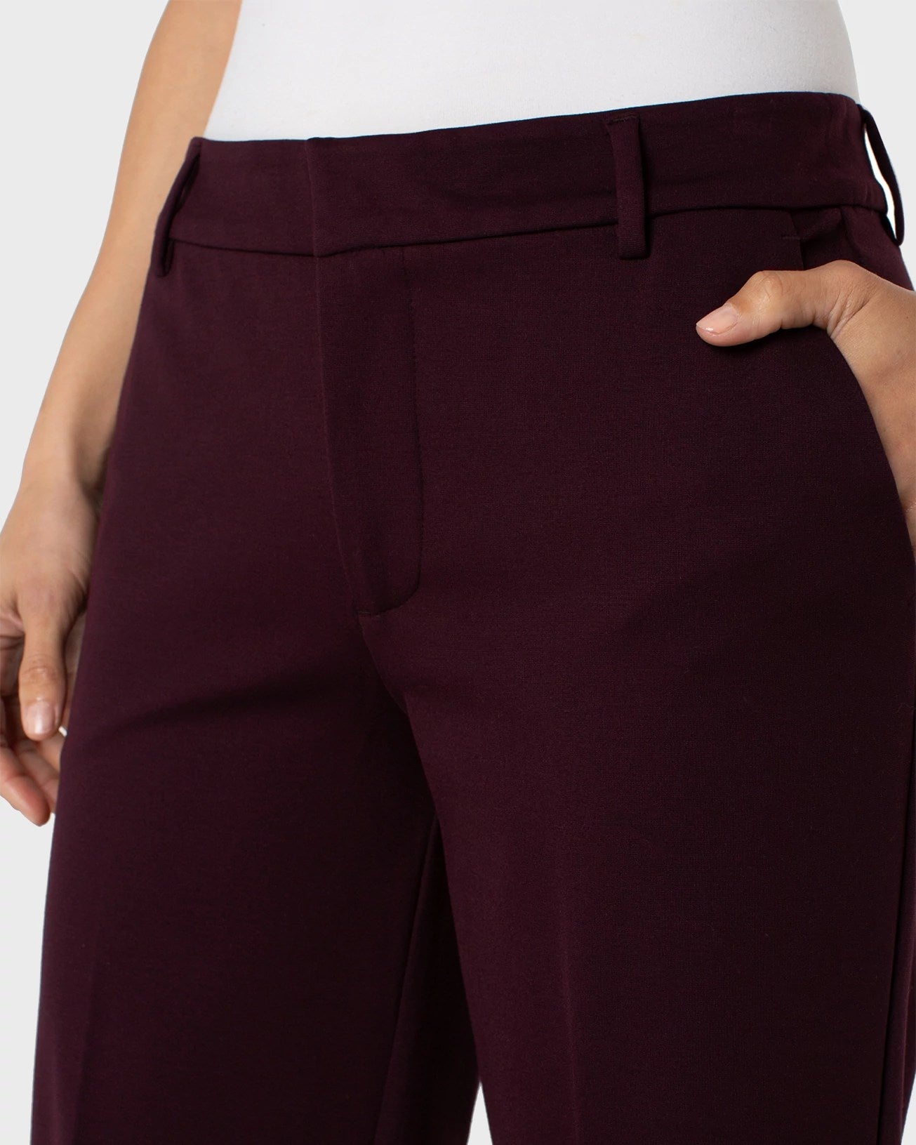 Dark Plum $|& Liverpool Kelsey Wide Leg Trouser - Hanger Back
