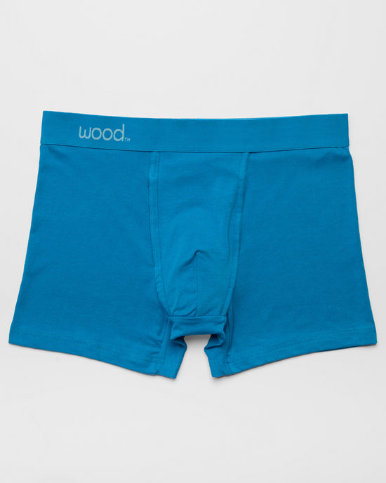 Swedishblue $|& Wood Underwear 3" Boxer Brief With Fly - Hanger Detail