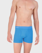 Swedishblue $|& Wood Underwear 3" Boxer Brief With Fly - VOF Detail