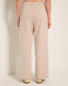 Heather Oatmeal $|& SEAS Abyssal Pant - SOF Back