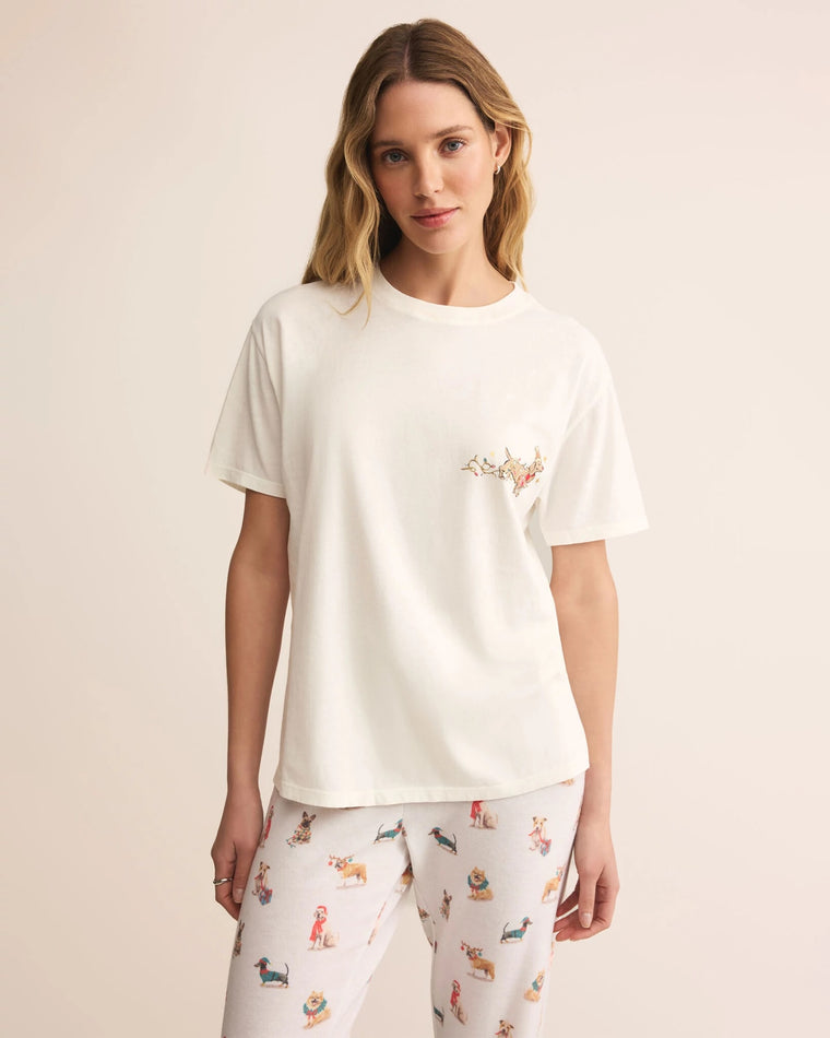 Sea Salt $|& Z Supply Lounge Bestie Boyfriend Tee - VOF Detail