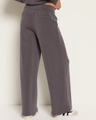 Cinder $|& SEAS Jenni High Rise Pleat Front Trouser - SOF Back