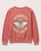Chili Pepper $|& Recycled Karma Aerosmith Sweatshirt - Hanger Detail