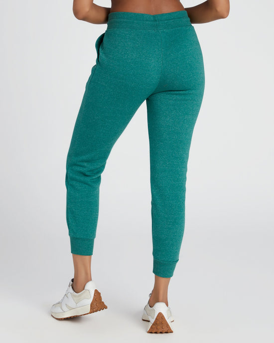 Cypress $|& Threads 4 Thought Skinny Triblend Jogger - SOF Back