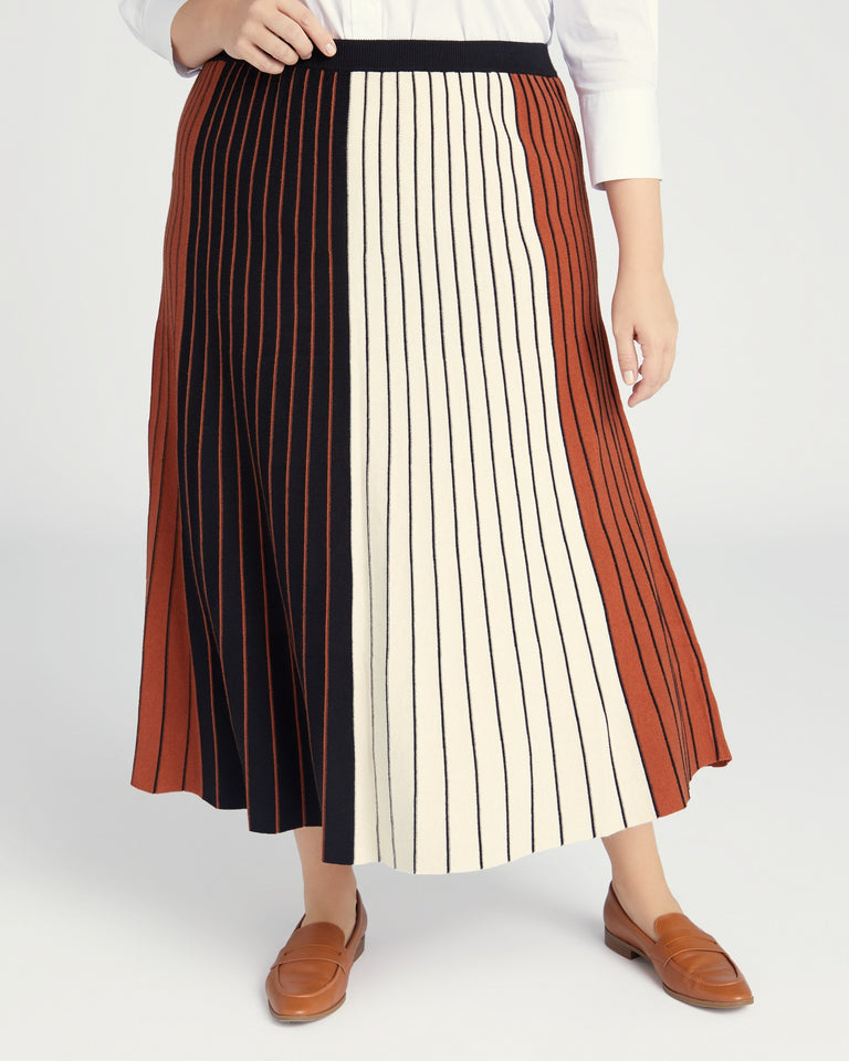 Colorblock Knit Maxi Skirt in Plus